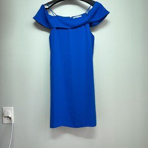 Naked Zebra Women's Dress
